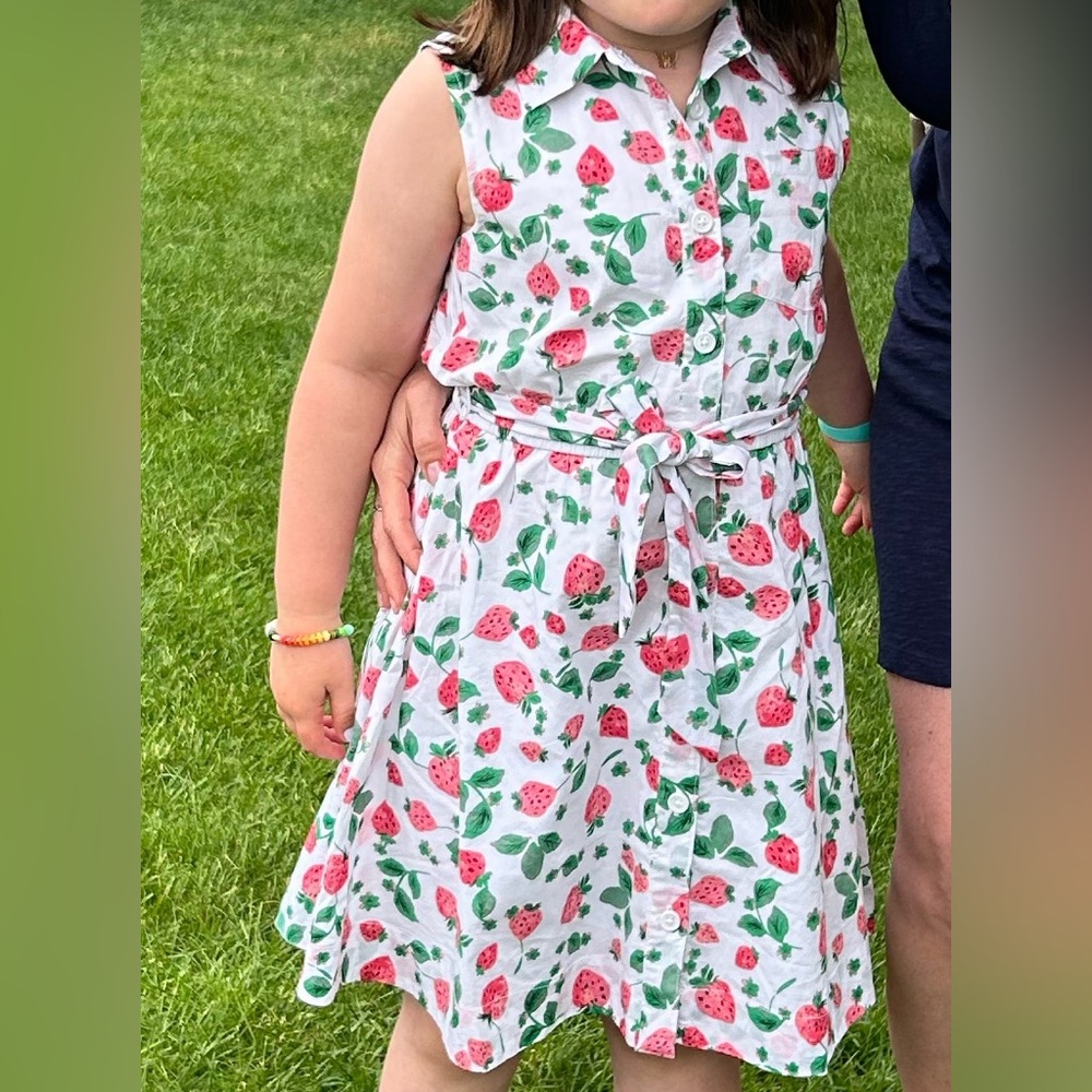 Strawberry Print Kids Skirt Crewcuts J. Crew Factory Size 8